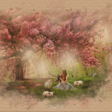 Watercolor Blossoms Editing Tutorial - Meg Bitton Productions