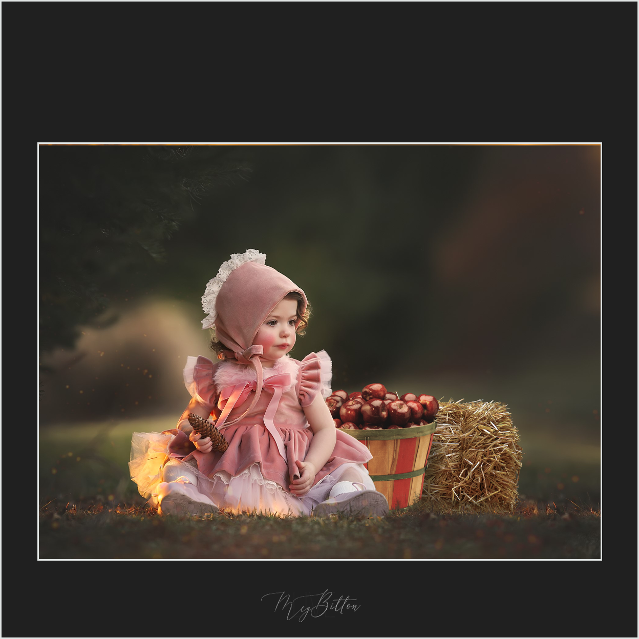 Magical Autumn Overlays - Meg Bitton Productions