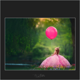 Magical Flower Fields - Meg Bitton Productions