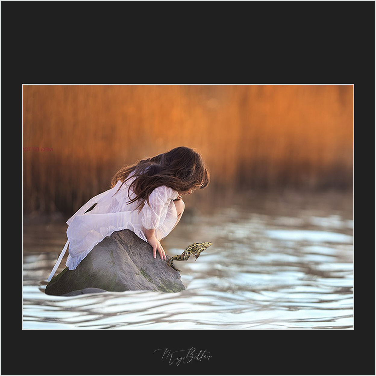 Magical Frogs - Meg Bitton Productions