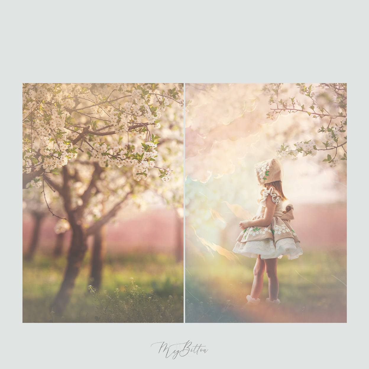 Magical Pastel Cloud Textures - Meg Bitton Productions