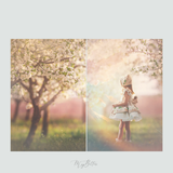 Magical Pastel Cloud Textures - Meg Bitton Productions