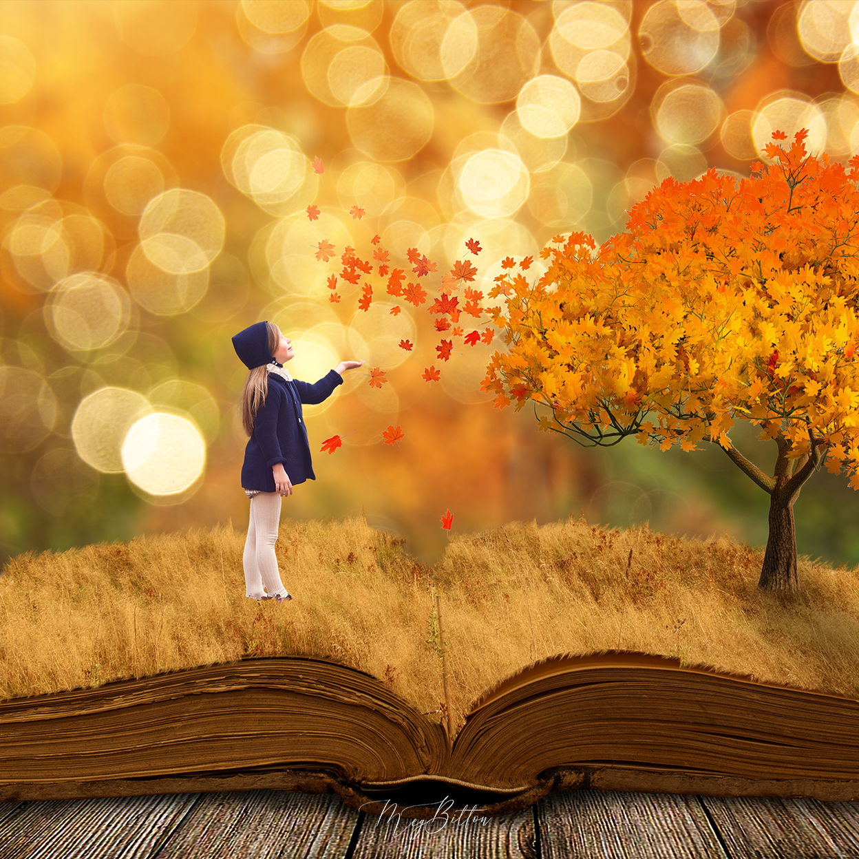 Harvest Wishes Pop Up Book - Meg Bitton Productions
