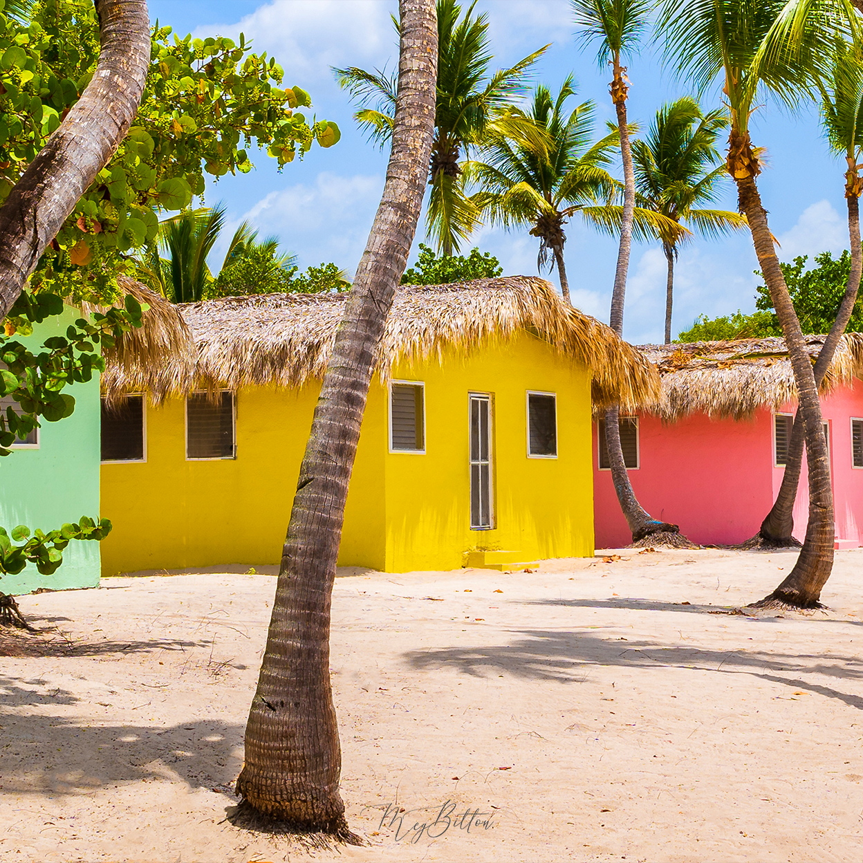 Digital Background: Caribbean Retreat - Meg Bitton Productions