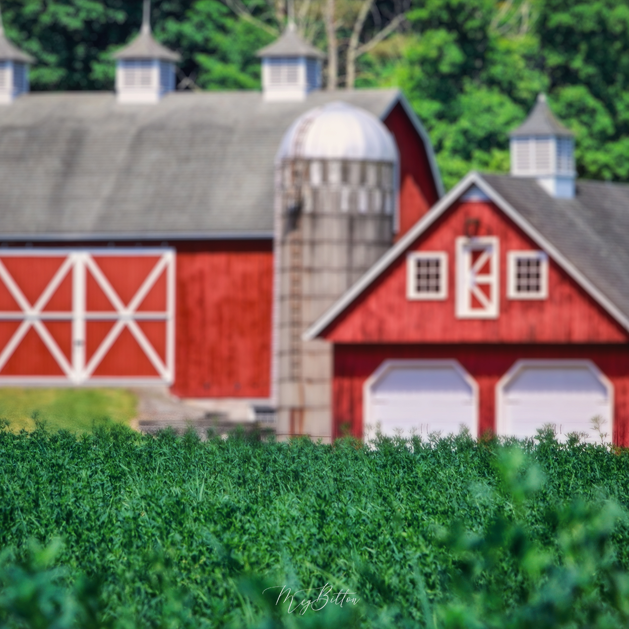 Digital Background: Classic Red Barn - Meg Bitton Productions