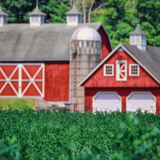 Digital Background: Classic Red Barn - Meg Bitton Productions