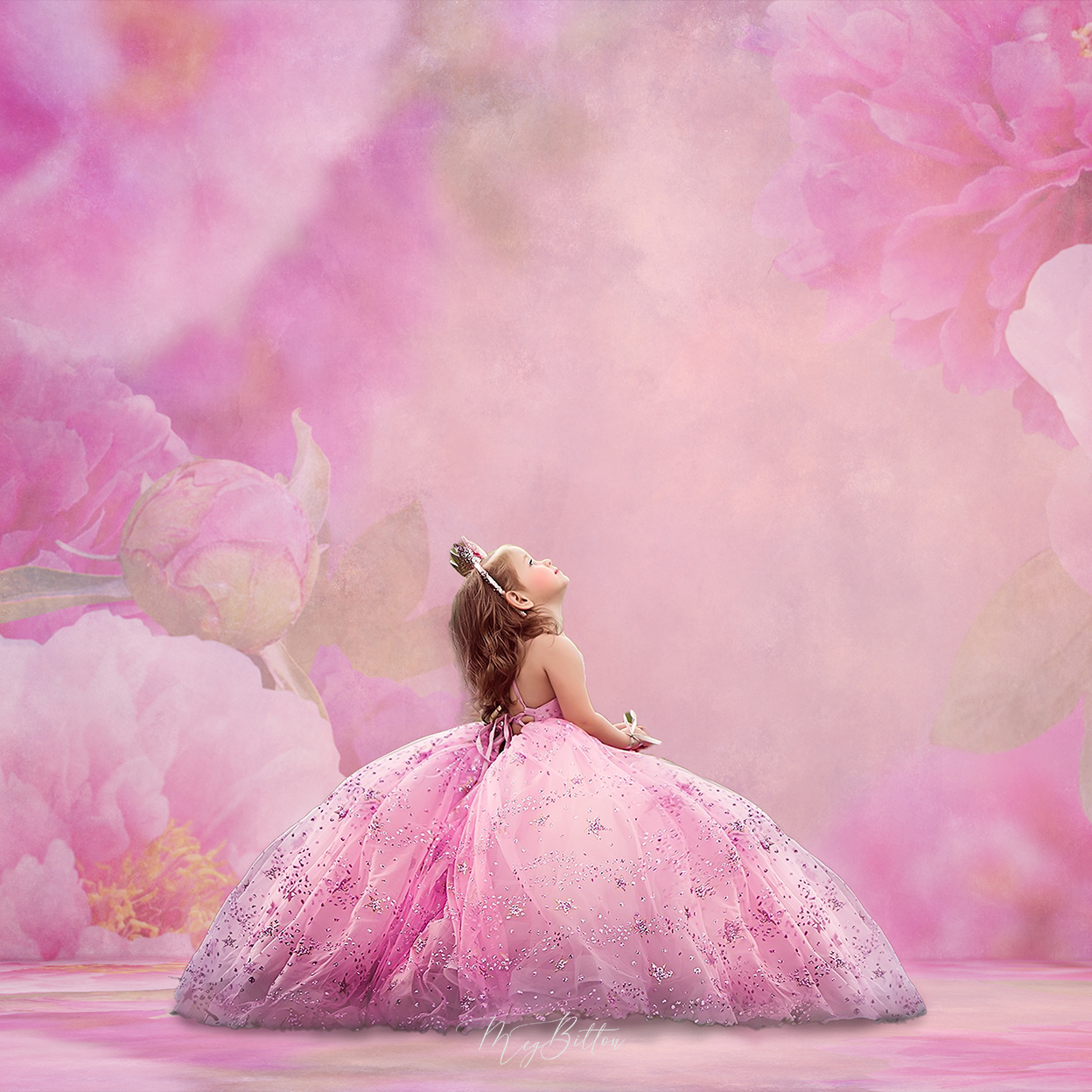 Digital Studio Backdrop: Penelope - Meg Bitton Productions