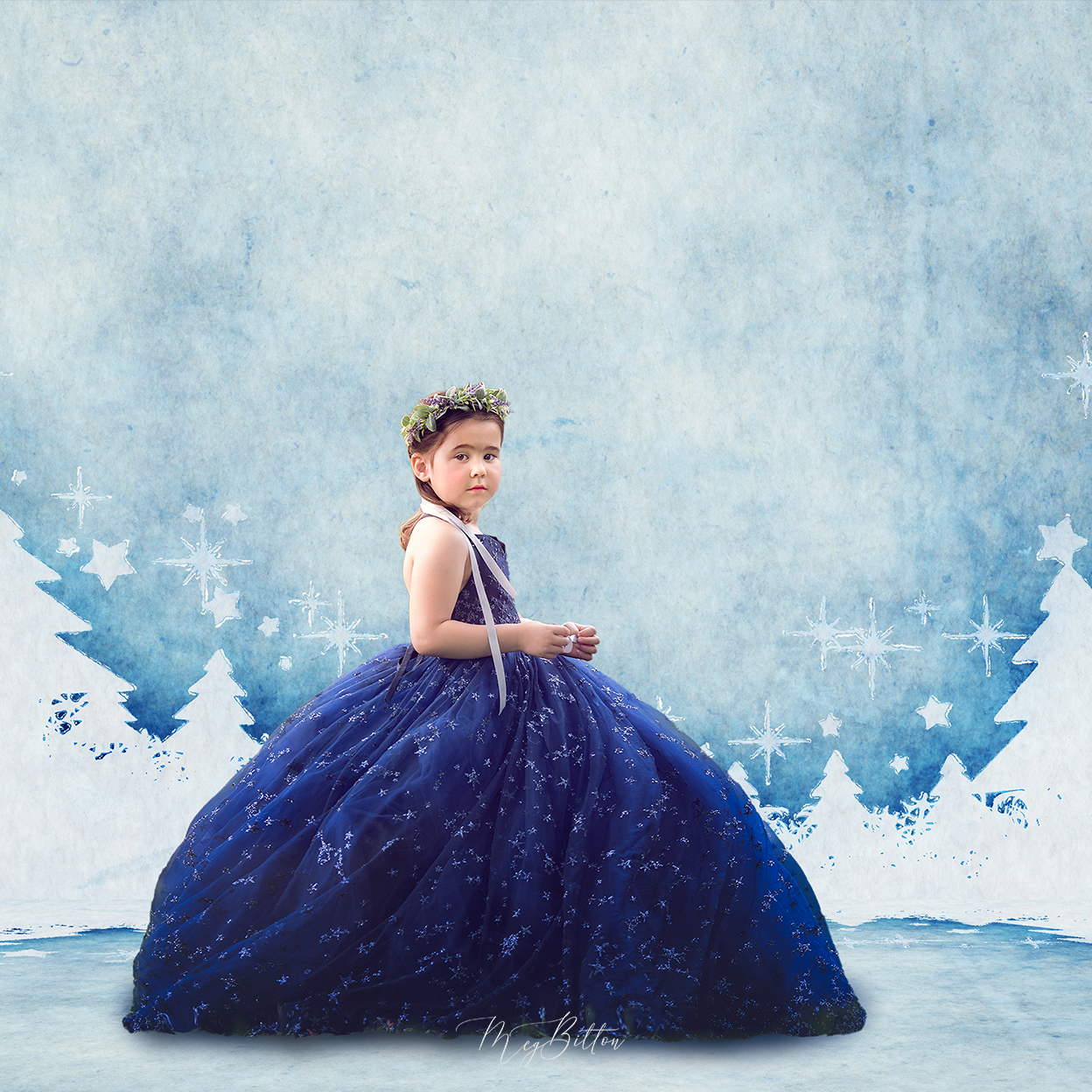 Digital Studio Backdrop: Snow Bound - Meg Bitton Productions