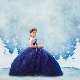 Digital Studio Backdrop: Snow Bound - Meg Bitton Productions
