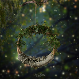 Digital Background: Firefly Forest - Meg Bitton Productions