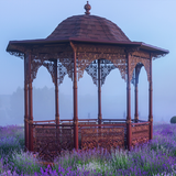 Digital Background: Lavender Gazebo - Meg Bitton Productions