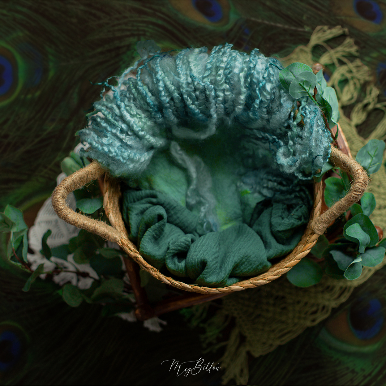 Digital Background: Pretty Peacock - Meg Bitton Productions