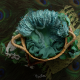 Digital Background: Pretty Peacock - Meg Bitton Productions