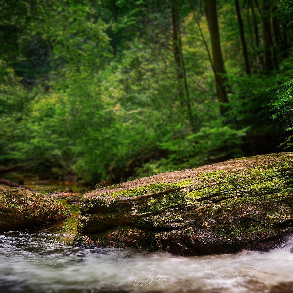 Digital Background: Rocky Stream - Meg Bitton Productions