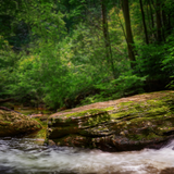 Digital Background: Rocky Stream - Meg Bitton Productions