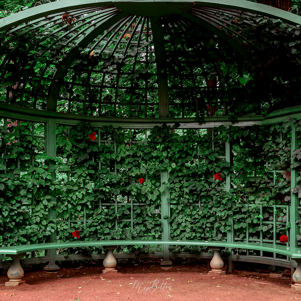 Digital Background: Rose Gazebo - Meg Bitton Productions