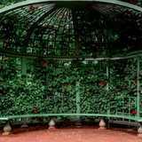Digital Background: Rose Gazebo - Meg Bitton Productions