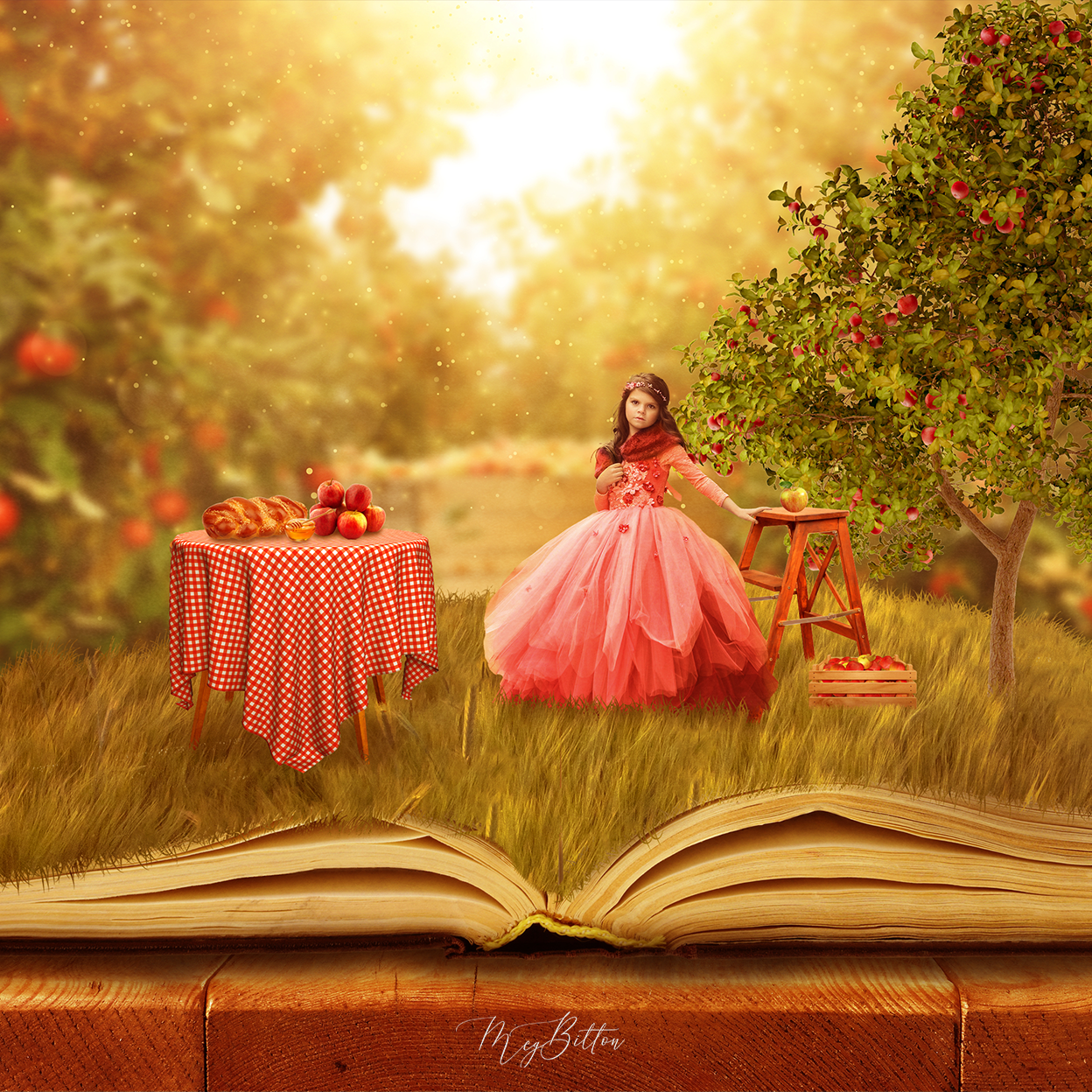 Rosh Hashanah Pop Up Book - Meg Bitton Productions