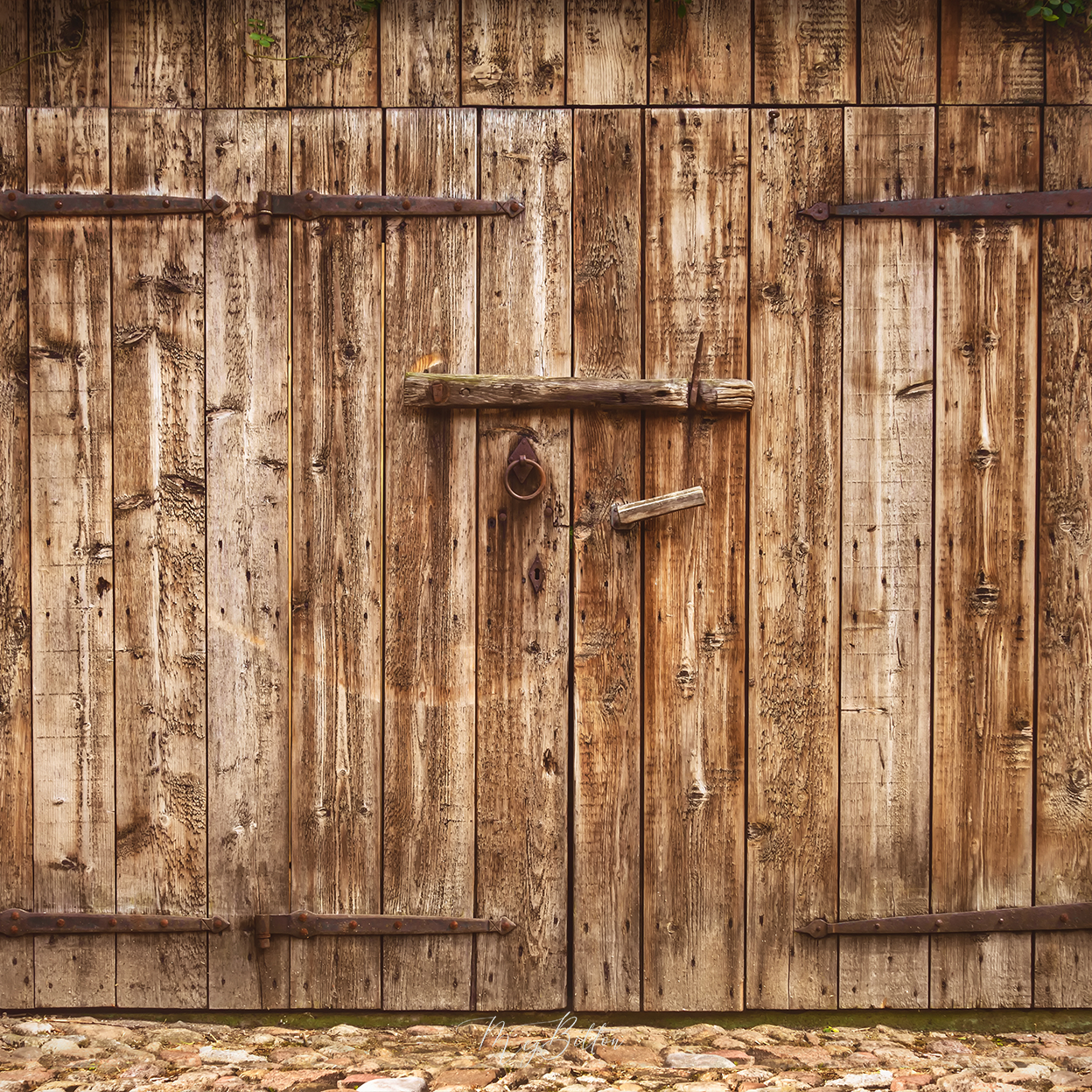 Digital Background: Rustic Barn Door - Meg Bitton Productions