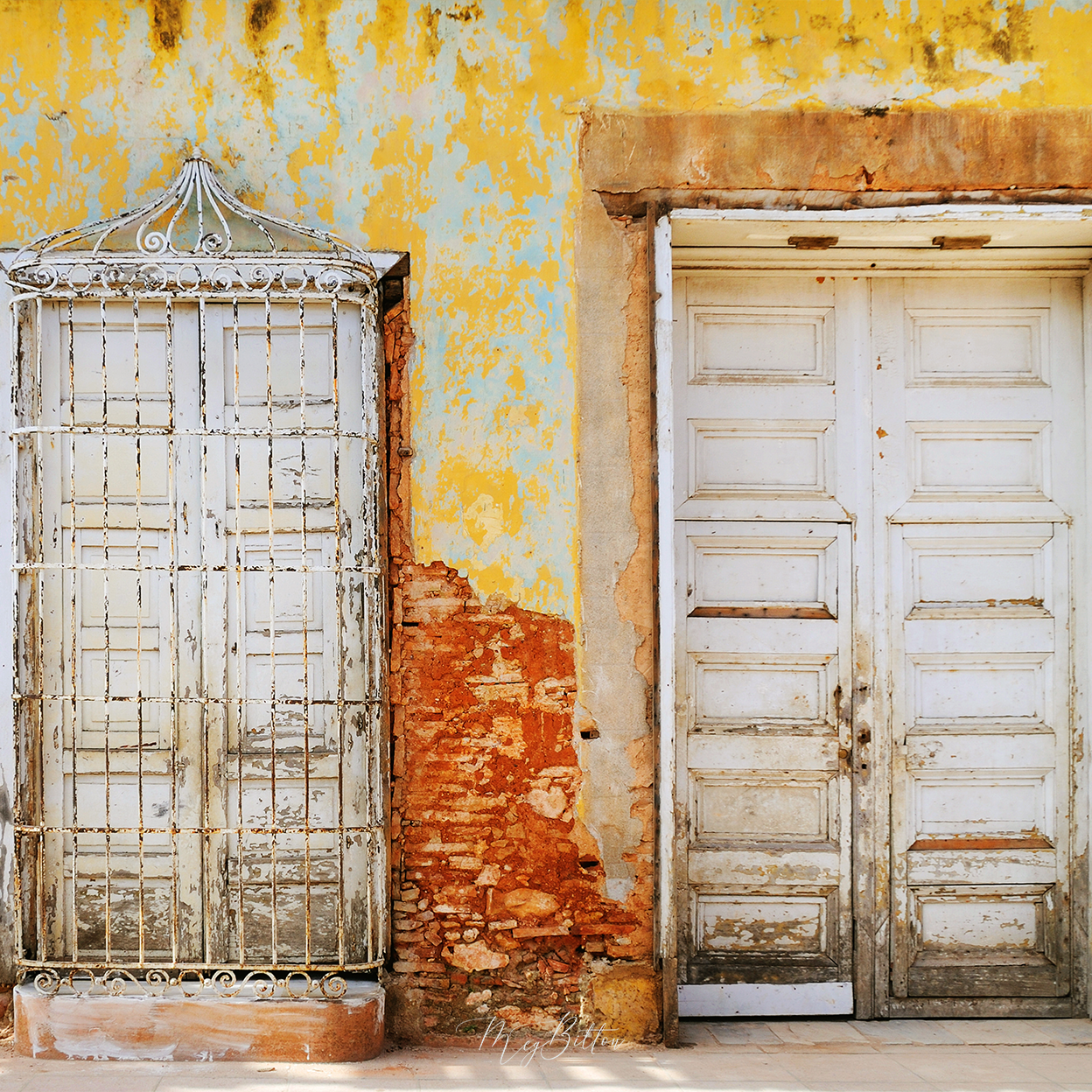 Digital Background: Rustic Doors - Meg Bitton Productions