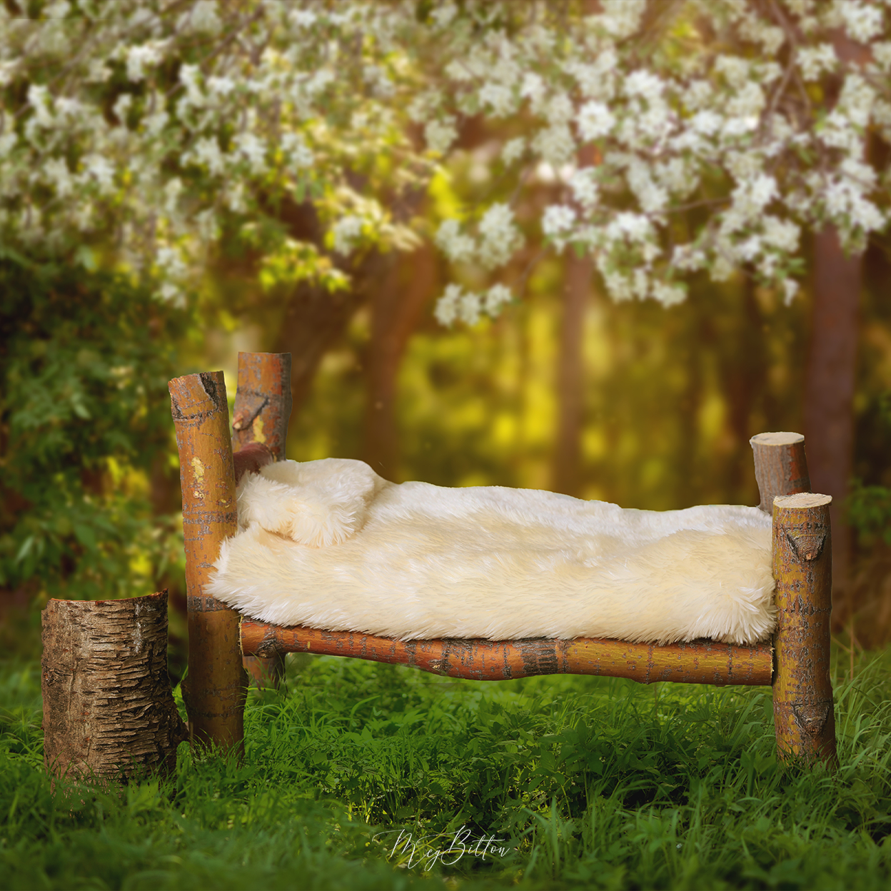 Digital Background: Sleepy Forest - Meg Bitton Productions