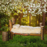 Digital Background: Sleepy Forest - Meg Bitton Productions
