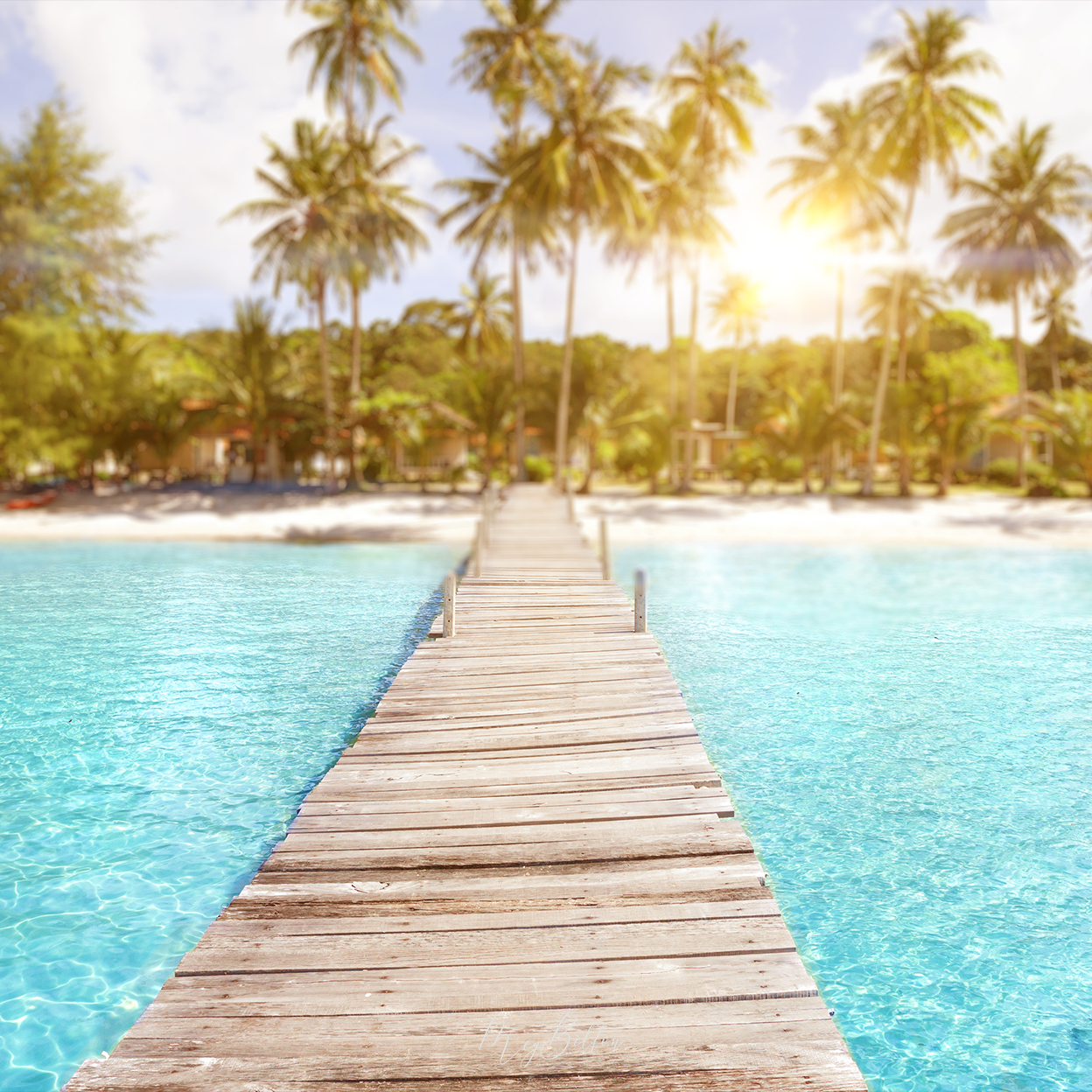 Digital Background: Tropical Dock - Meg Bitton Productions