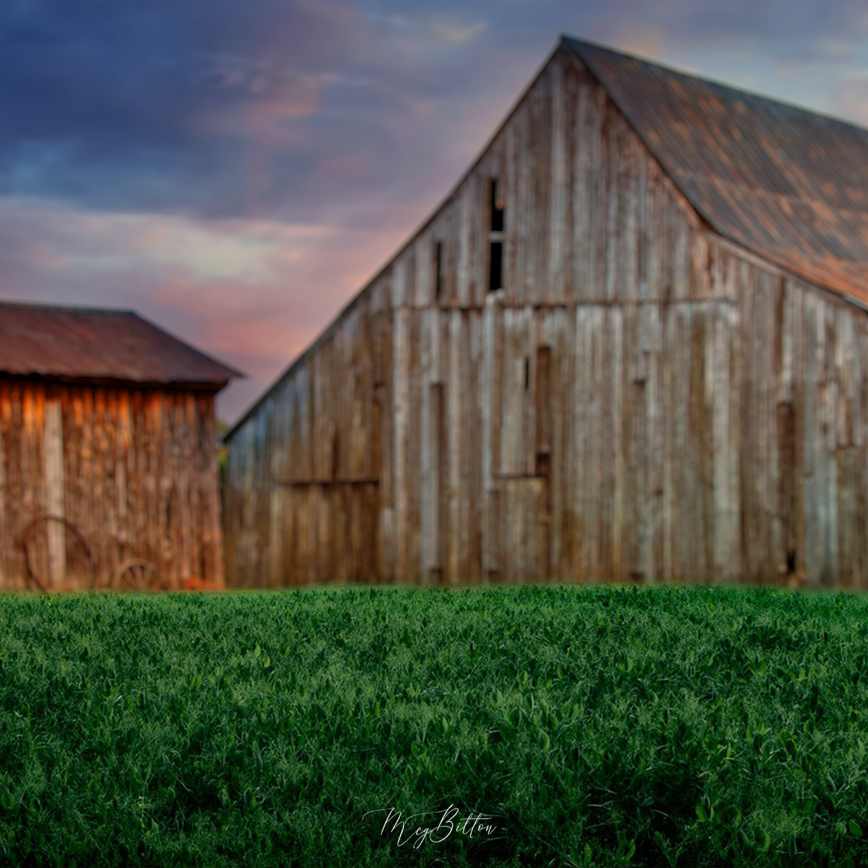 Digital Background: Vibrant Evening Barn - Meg Bitton Productions