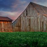 Digital Background: Vibrant Evening Barn - Meg Bitton Productions
