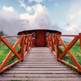 Digital Background: Wooden Bridge - Meg Bitton Productions