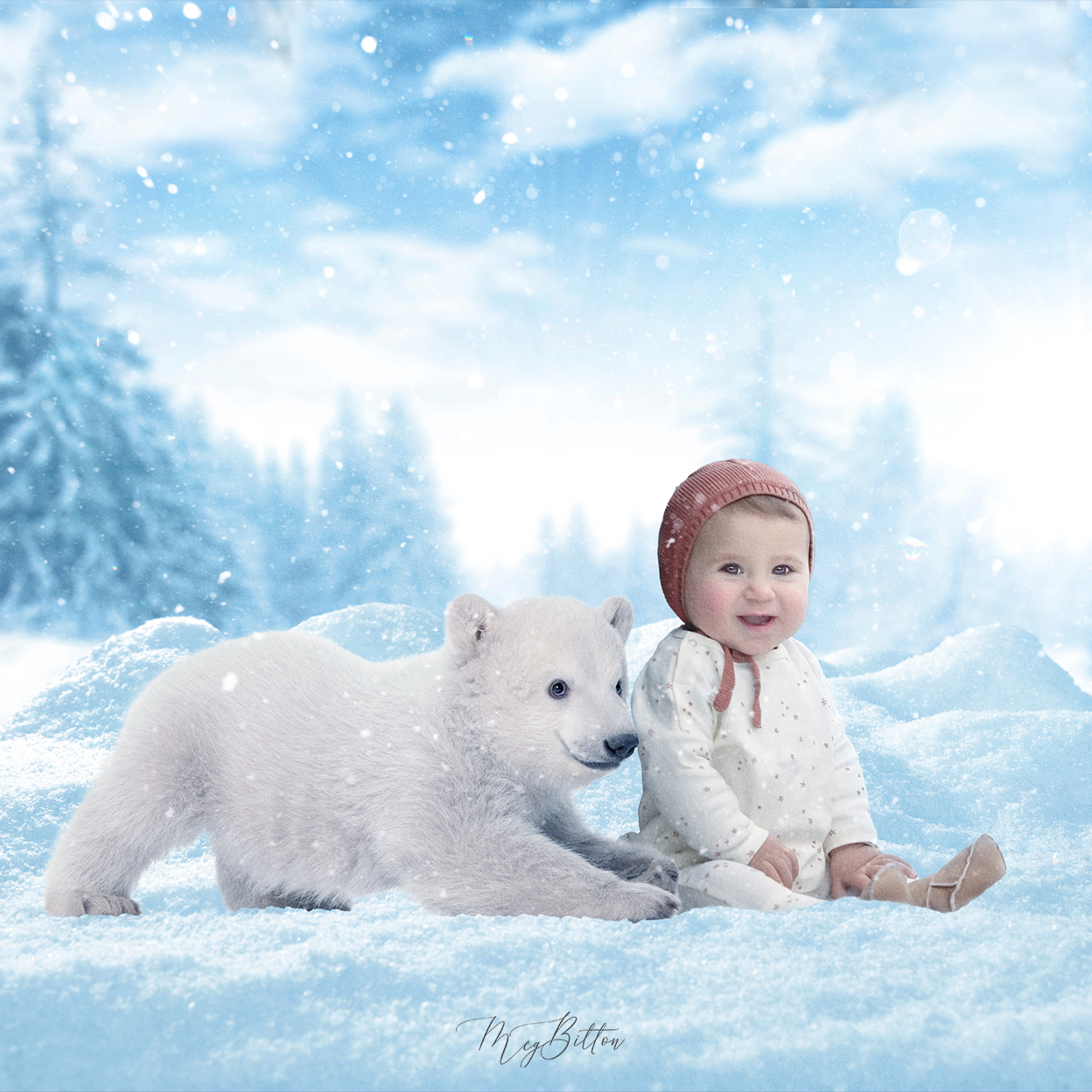 Arctic Circle All in One Kit - Meg Bitton Productions