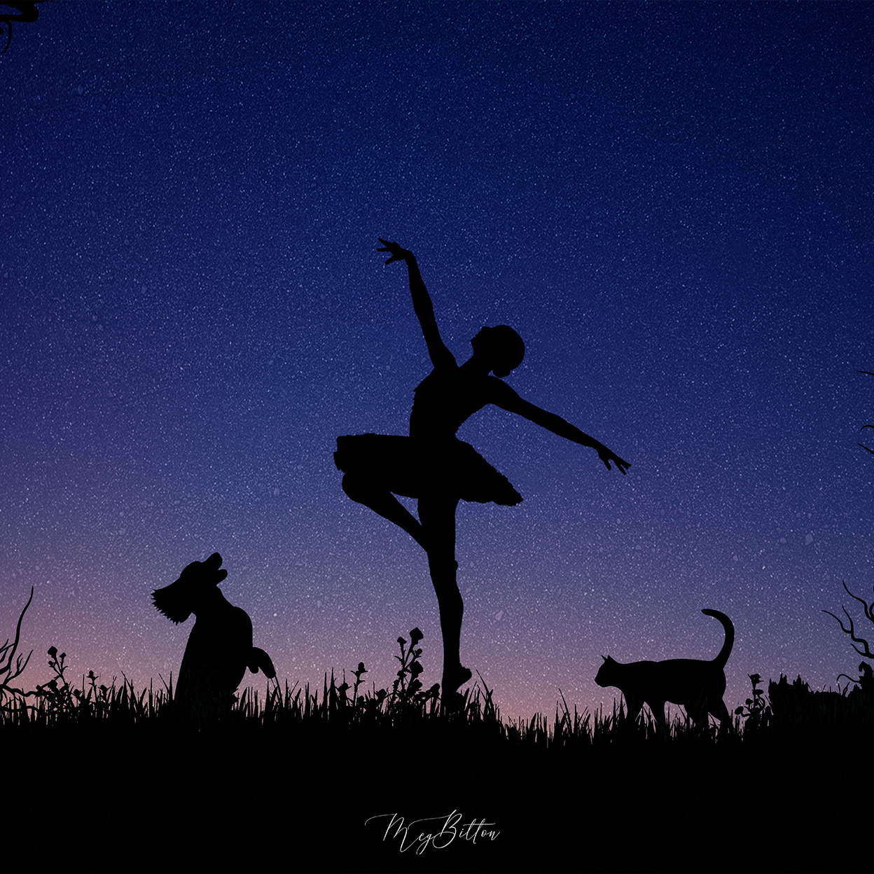 Night Sky Silhouettes All in One Kit - Meg Bitton Productions
