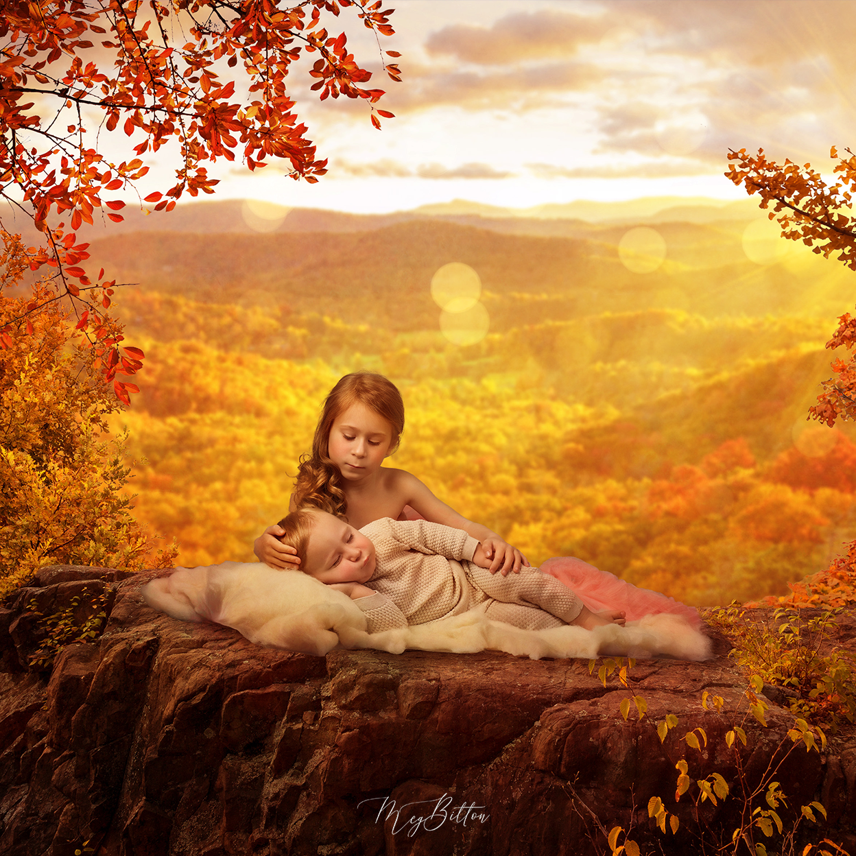 The Overlook All in One Kit - Meg Bitton Productions