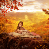The Overlook All in One Kit - Meg Bitton Productions