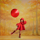 Digital Studio Backdrop: Autumn Warmth - Meg Bitton Productions