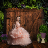 Digital Studio Backdrop: Barn Door - Meg Bitton Productions