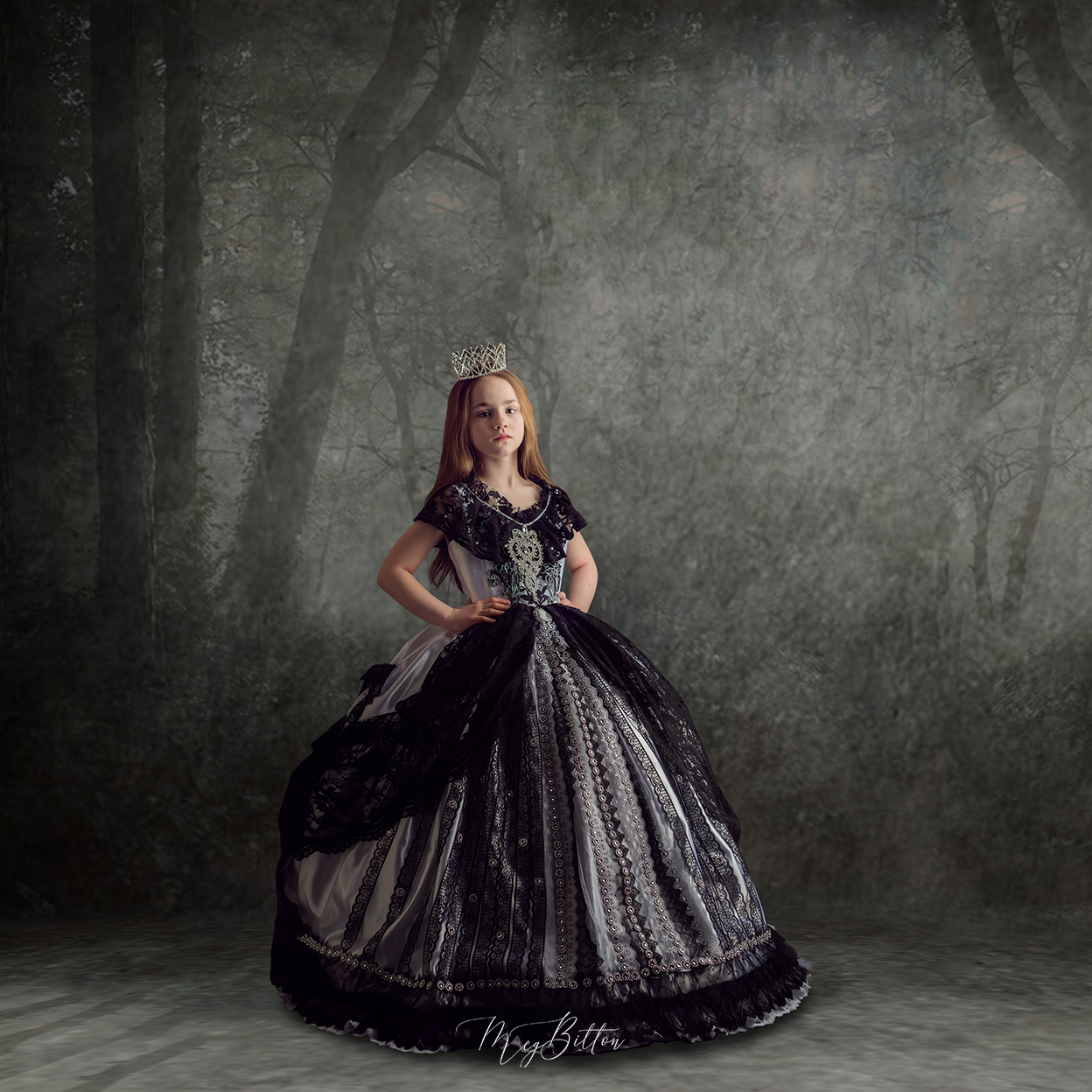 Digital Studio Backdrop: Dark Forest - Meg Bitton Productions