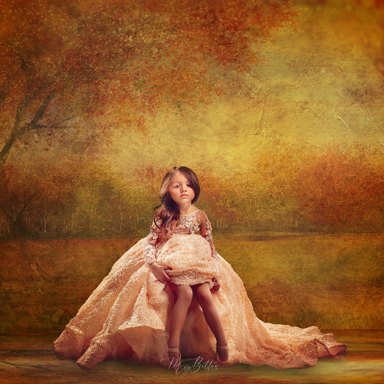 Digital Studio Backdrop: Fall Dreams - Meg Bitton Productions