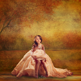 Digital Studio Backdrop: Fall Dreams - Meg Bitton Productions