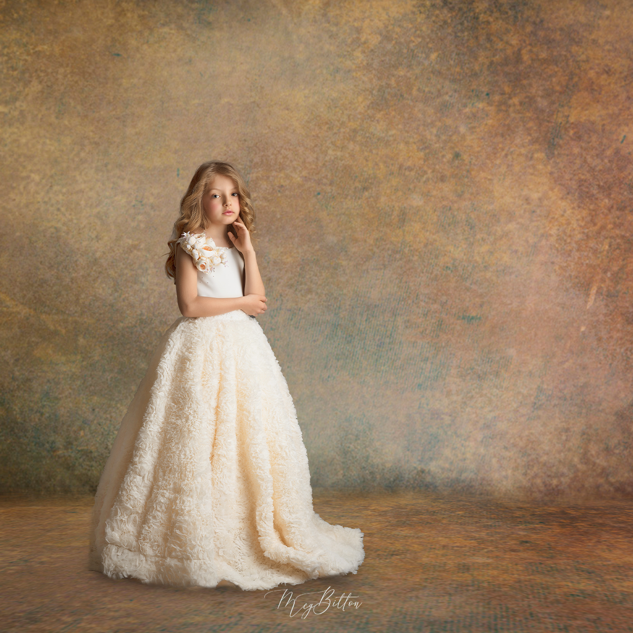 Digital Studio Backdrop: Fine Art Earthy - Meg Bitton Productions