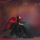 Digital Studio Backdrop: Fire Within - Meg Bitton Productions