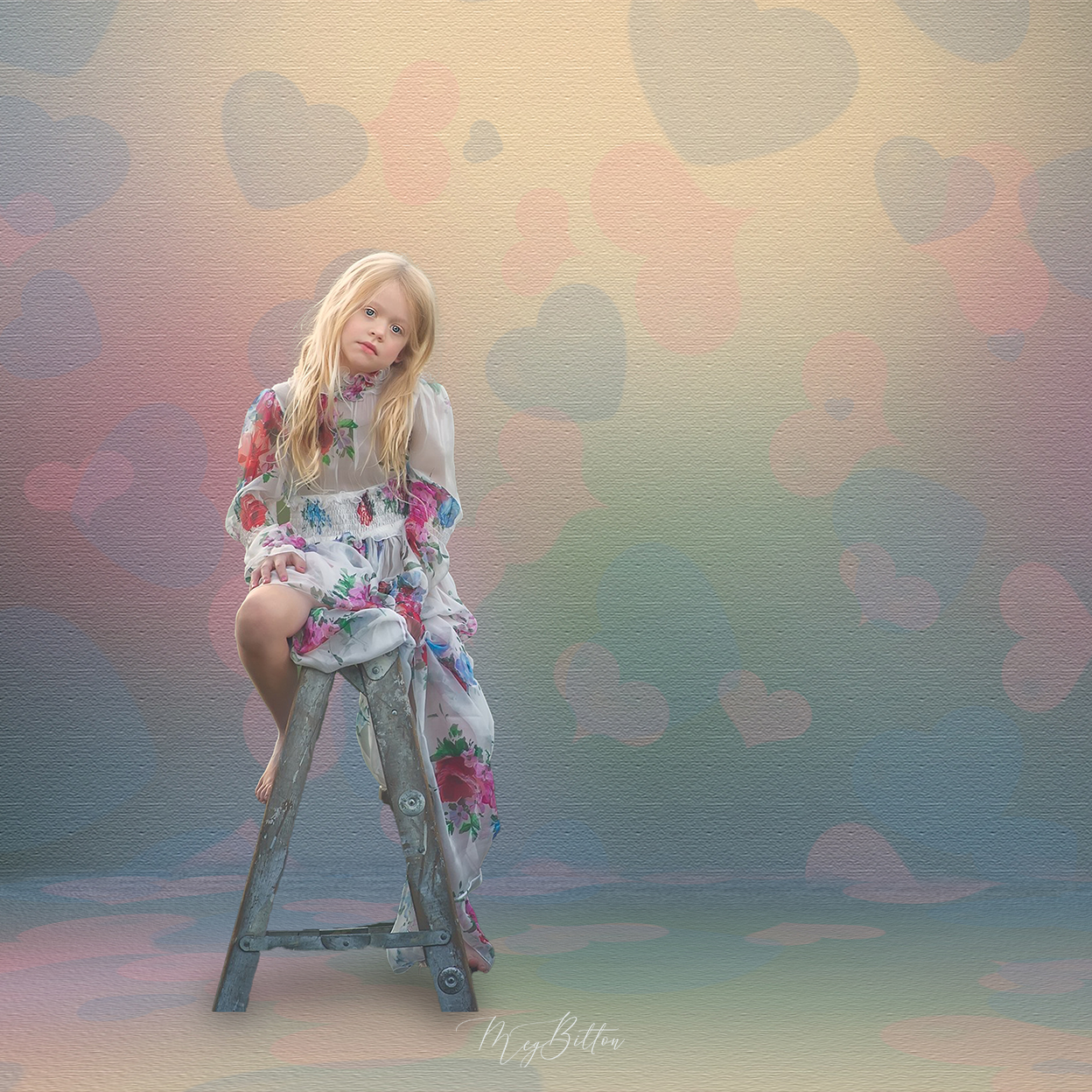 Digital Studio Backdrop: Hearts Aflutter - Meg Bitton Productions