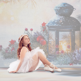 Digital Studio Backdrop: Holiday Lantern - Meg Bitton Productions