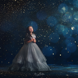 Digital Studio Backdrop: Holiday Sparkle - Meg Bitton Productions