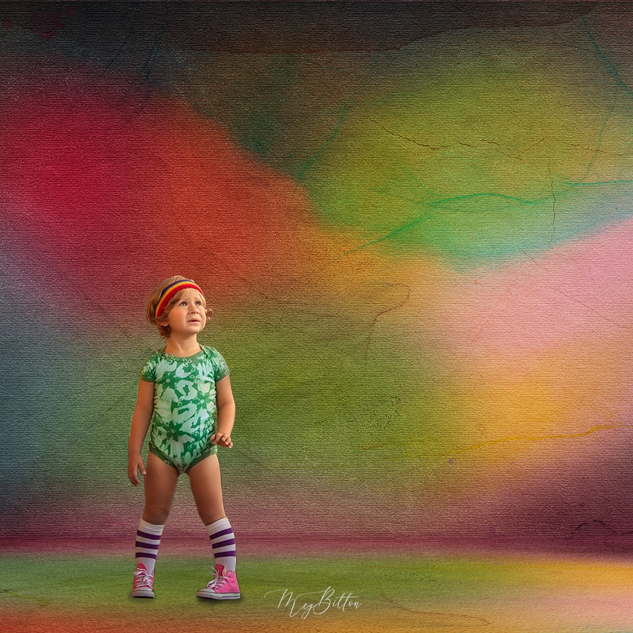 Digital Studio Backdrop: Letting Go - Meg Bitton Productions