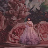 Digital Studio Backdrop: Muted Pinks - Meg Bitton Productions