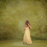 Digital Studio Backdrop: Path of Light - Meg Bitton Productions