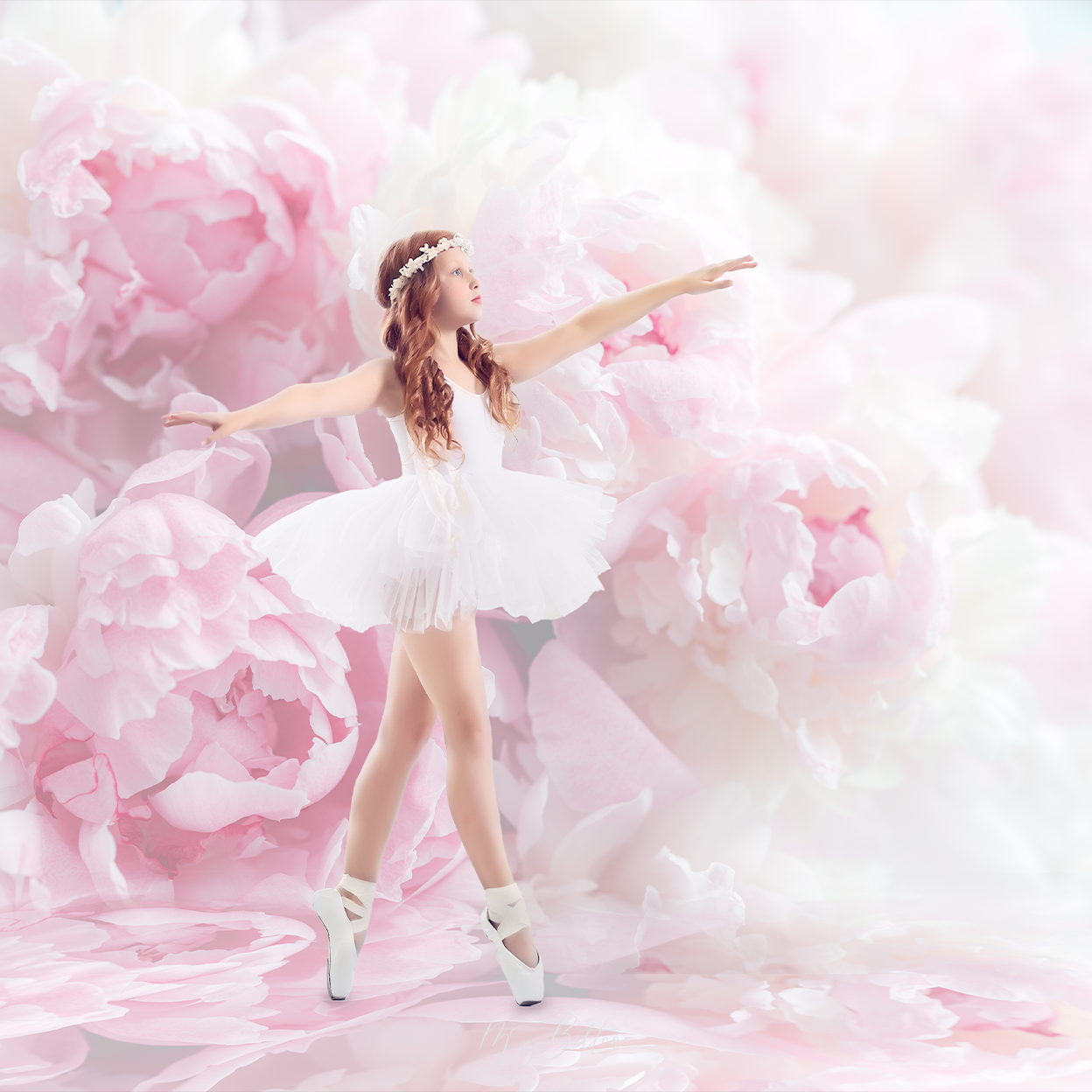 Digital Studio Backdrop: Peony Dreams - Meg Bitton Productions