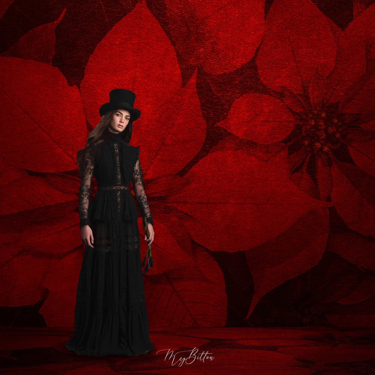 Digital Studio Backdrop: Poinsettia Velvet - Meg Bitton Productions