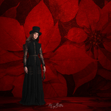 Digital Studio Backdrop: Poinsettia Velvet - Meg Bitton Productions
